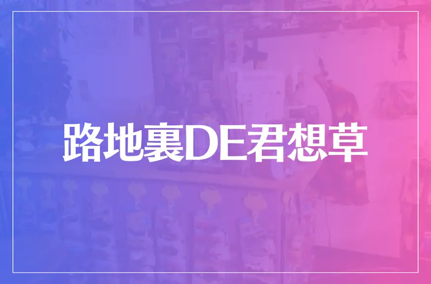 路地裏DE君想草は当たる？当たらない？参考になる口コミをご紹介！