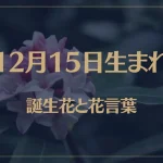 12月15日の誕生花と花言葉がコレ！性格や恋愛・仕事などの誕生日占いもご紹介！