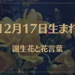 12月17日の誕生花と花言葉がコレ！性格や恋愛・仕事などの誕生日占いもご紹介！