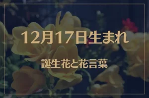 12月17日の誕生花と花言葉がコレ!性格や恋愛・仕事などの誕生日占いもご紹介!