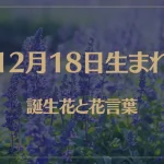 12月18日の誕生花と花言葉がコレ！性格や恋愛・仕事などの誕生日占いもご紹介！