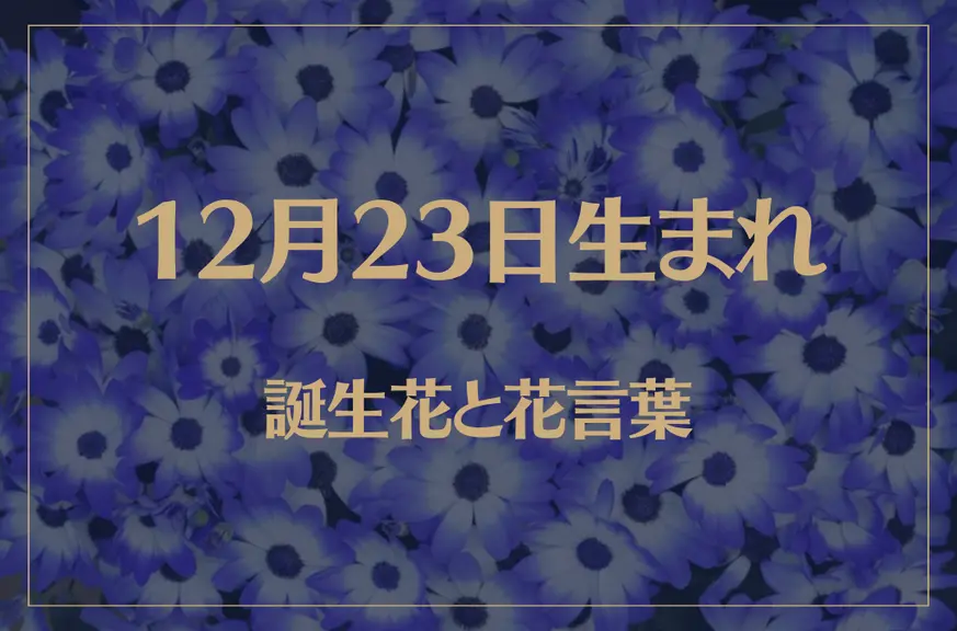 12月23日の誕生花と花言葉がコレ！性格や恋愛・仕事などの誕生日占いもご紹介！