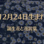 12月24日の誕生花と花言葉がコレ！性格や恋愛・仕事などの誕生日占いもご紹介！