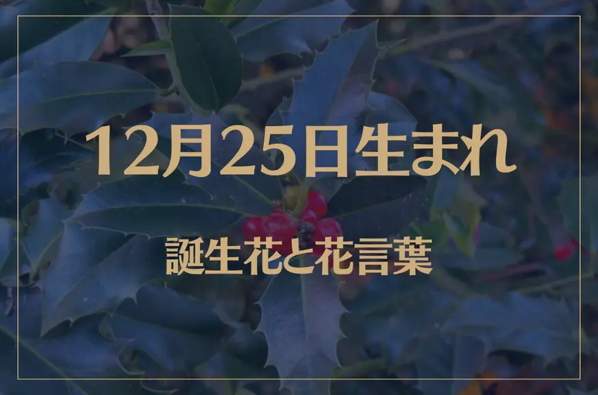 12月25日の誕生花と花言葉がコレ！性格や恋愛・仕事などの誕生日占いもご紹介！