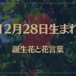 12月28日の誕生花と花言葉がコレ！性格や恋愛・仕事などの誕生日占いもご紹介！