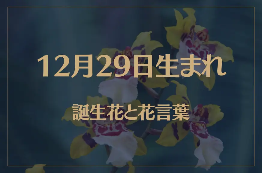 12月29日の誕生花と花言葉がコレ！性格や恋愛・仕事などの誕生日占いもご紹介！