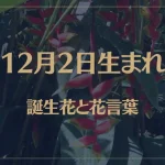 12月2日の誕生花と花言葉がコレ！性格や恋愛・仕事などの誕生日占いもご紹介！