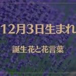12月3日の誕生花と花言葉がコレ！性格や恋愛・仕事などの誕生日占いもご紹介！