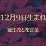 12月9日の誕生花と花言葉がコレ！性格や恋愛・仕事などの誕生日占いもご紹介！