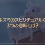ネズミのスピリチュアルな3つの意味とは？