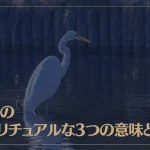 白鷺のスピリチュアルな3つの意味とは？幸運に恵まれるサイン？金運アップの前兆？