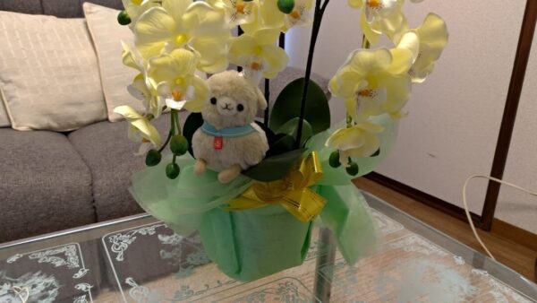 ディアコニア・カウンセリングセンター