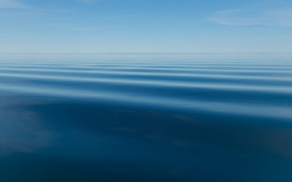 コスモス心理相談室