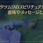 カタツムリのスピリチュアルな意味やメッセージとは？カタツムリの夢を見たら注意が必要？