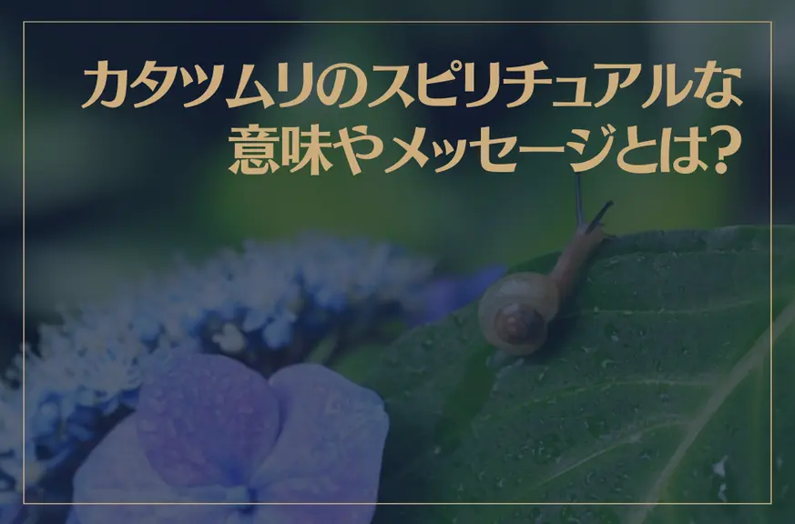 カタツムリのスピリチュアルな意味やメッセージとは？カタツムリの夢を見たら注意が必要？