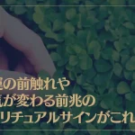 幸運の前触れや運気が変わる前兆のスピリチュアルサインがこれ！