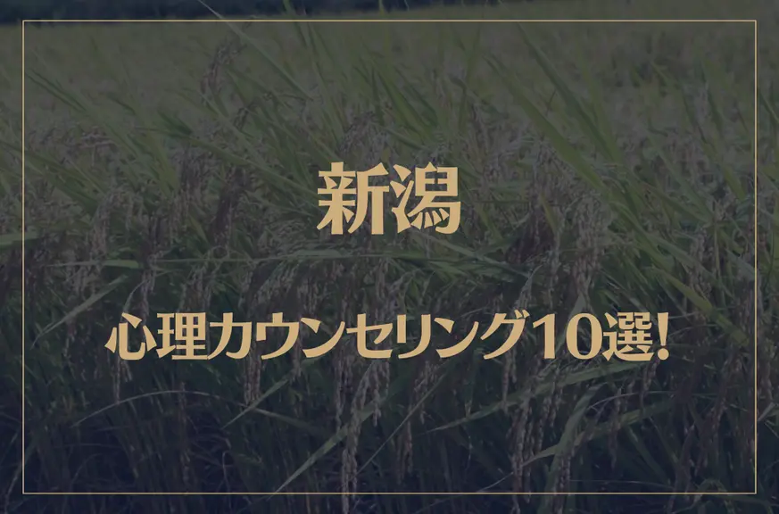 新潟の口コミ評判が良いおすすめ心理カウンセリング10選！