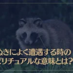 たぬきによく遭遇する時のスピリチュアルな意味とは？たぬきを轢いた時や死骸を見た時なども解説！