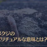 ナメクジのスピリチュアルな意味とは？ナメクジの夢を見た時の意味もご紹介！