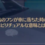 鳥のフンが車に落ちた時のスピリチュアルな意味とは？その他の場所別の意味もご紹介！