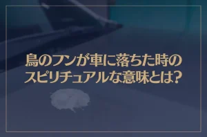 鳥のフンが車に落ちた時のスピリチュアルな意味とは？その他の場所別の意味もご紹介！