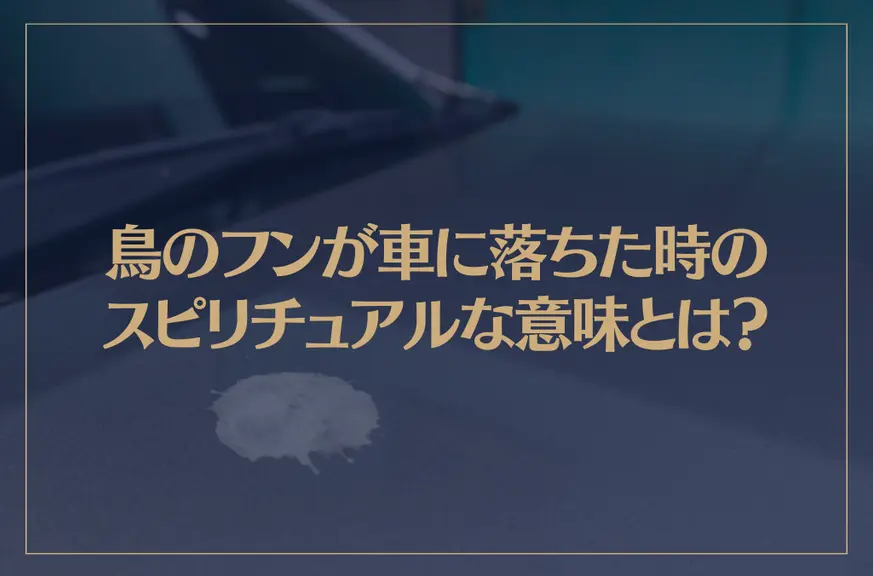 鳥のフンが車に落ちた時のスピリチュアルな意味とは？その他の場所別の意味もご紹介！