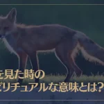 狐を見た時のスピリチュアルな意味とは？白い狐のスピリチュアルな意味もご紹介！