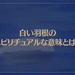 白い羽根のスピリチュアルな意味とは？天使からのメッセージ？