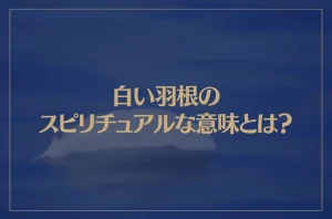 白い羽根のスピリチュアルな意味とは？天使からのメッセージ？