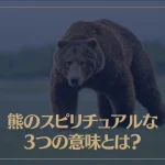 熊のスピリチュアルな3つの意味とは？熊が夢に出てくる時の意味もご紹介！