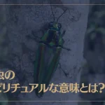 玉虫のスピリチュアルな意味とは？金運アップ？美の象徴？