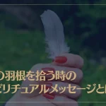 鳥の羽根を拾う時のスピリチュアルメッセージとは？色別にご紹介！