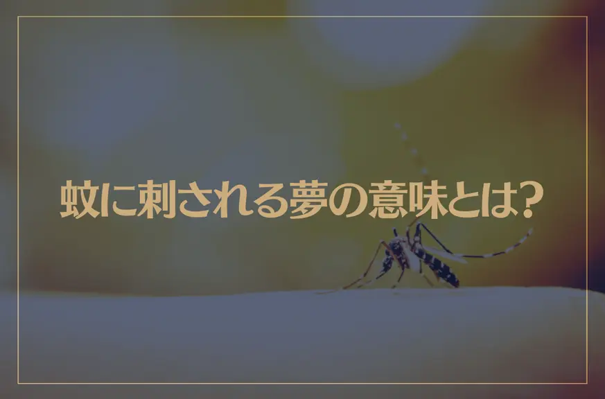 【夢占い】蚊に刺される夢の意味とは？