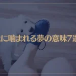 【夢占い】犬に噛まれる夢の意味7選！シチュエーション別にご紹介！