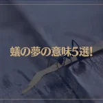 【夢占い】蟻の夢の意味5選！シチュエーション別にご紹介！