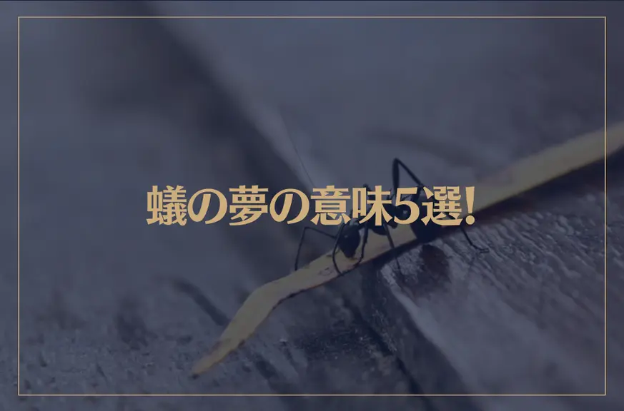 【夢占い】蟻の夢の意味5選！シチュエーション別にご紹介！