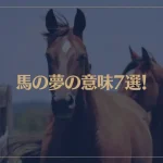 【夢占い】馬の夢の意味7選！シチュエーション別にご紹介！