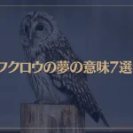 【夢占い】フクロウの夢の意味7選！シチュエーション別にご紹介！