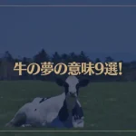 【夢占い】牛の夢の意味9選！シチュエーション別にご紹介！