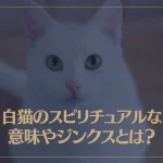 白猫のスピリチュアルな意味やジンクスとは？