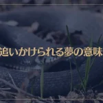 【夢占い】蛇に追いかけられる夢の意味6選！シチュエーション別にご紹介！