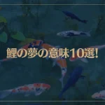 【夢占い】鯉の夢の意味10選！シチュエーション別にご紹介！