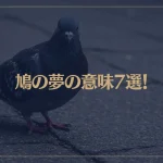 【夢占い】鳩の夢の意味7選！シチュエーション別にご紹介！