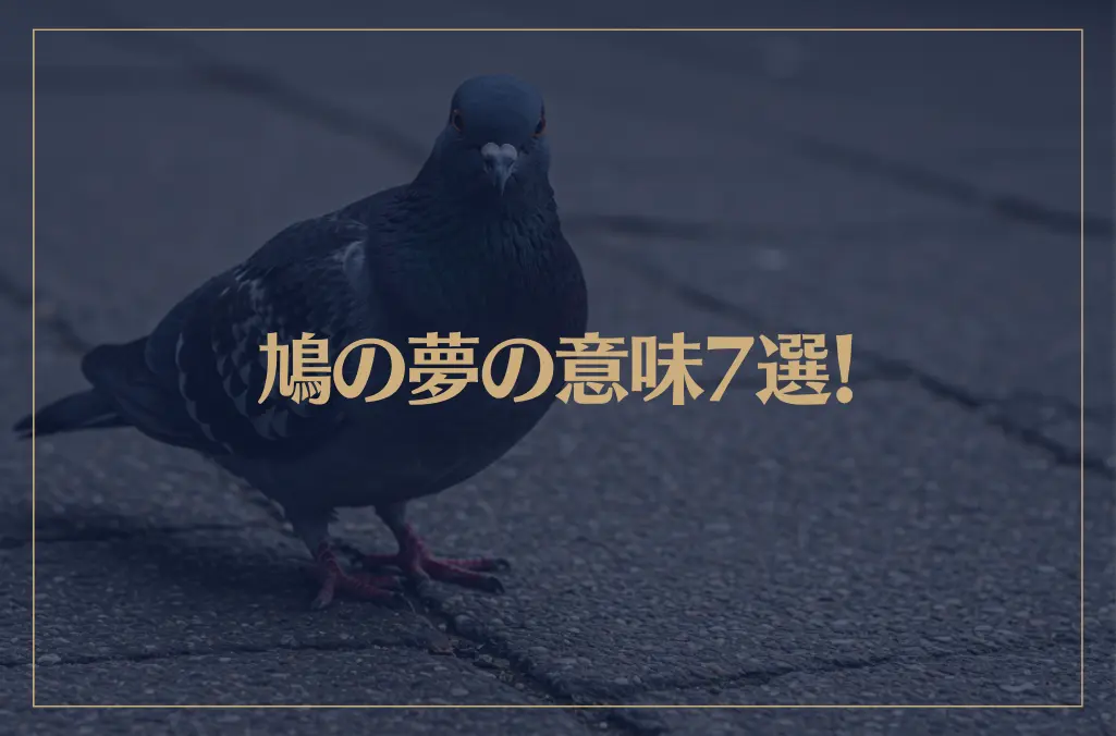 【夢占い】鳩の夢の意味7選！シチュエーション別にご紹介！
