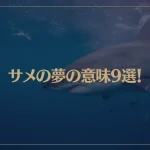 【夢占い】サメの夢の意味9選！シチュエーション別にご紹介！