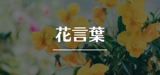 花言葉