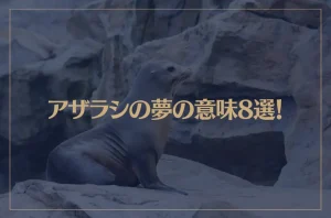 【夢占い】アザラシの夢の意味8選！シチュエーション別にご紹介！
