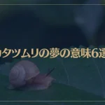 【夢占い】カタツムリの夢の意味6選！シチュエーション別にご紹介！