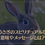 うさぎのスピリチュアルな意味やメッセージとは？
