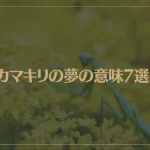 【夢占い】カマキリの夢の意味7選！シチュエーション別にご紹介！